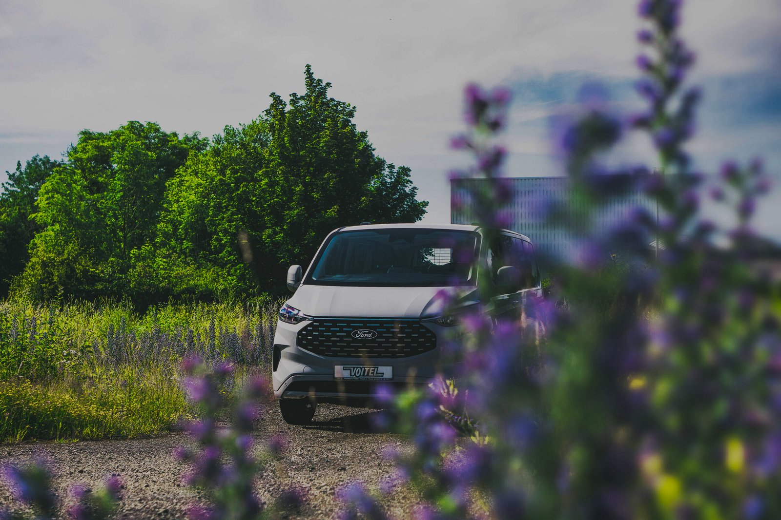 Autohaus Voitel in Plauen – Ihr Ford- und Mitsubishi-Partner im Vogtland: weißer Ford-Kleinbus zwischen blühenden Lupinen